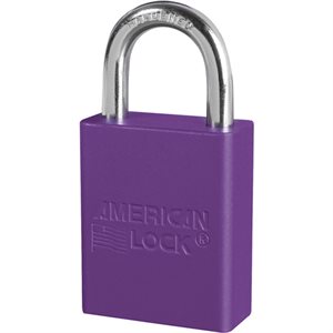 Cadenas de sécurité en aluminium Master Lock série A1105